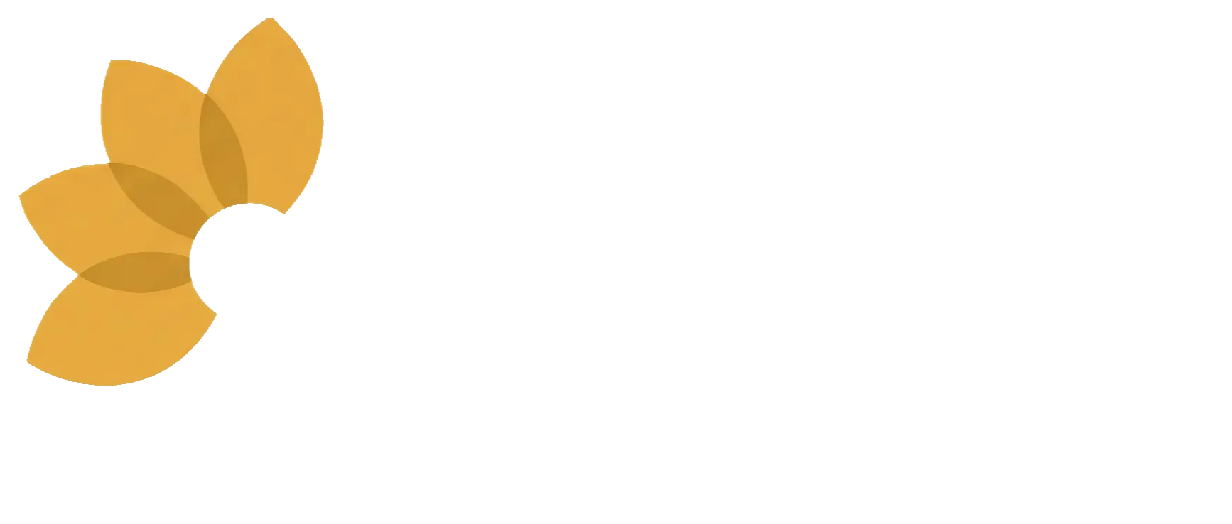 BellaFit